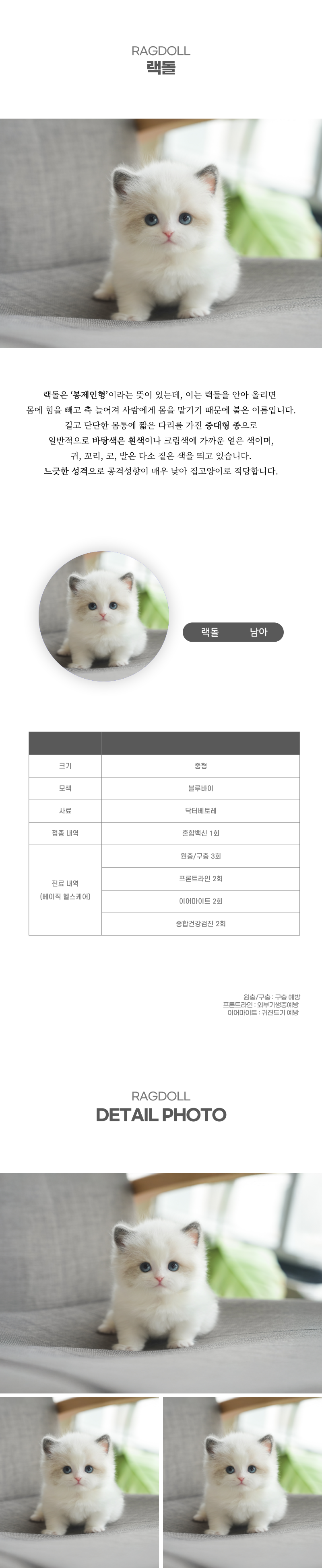 랙돌_상세이미지_2